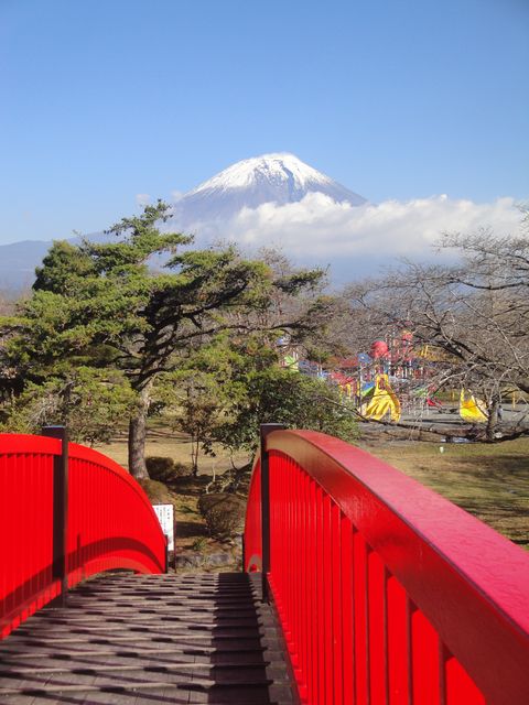 DSC04393