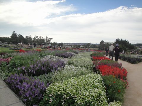 DSC03224