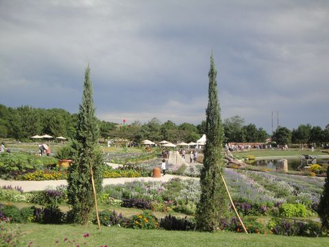 DSC03198