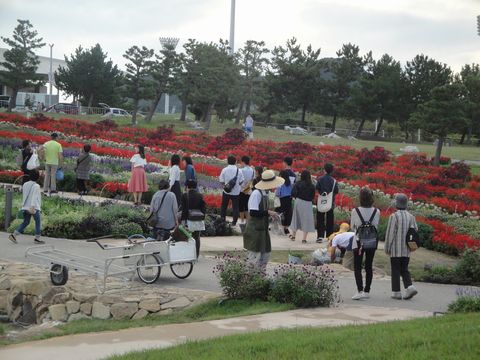 DSC03207