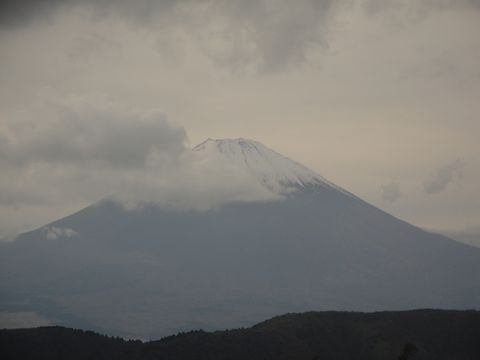 DSC04203