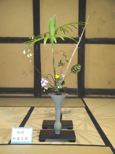 DSC02465