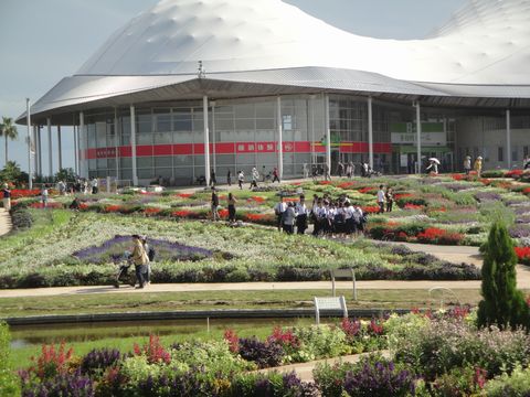 DSC03205