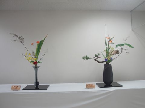 DSC03355