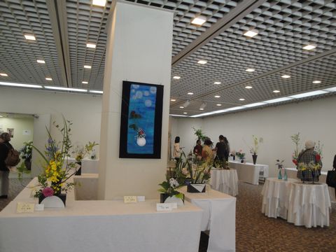 DSC02520