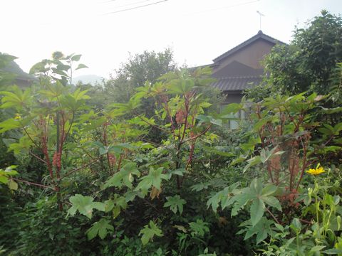 DSC02834