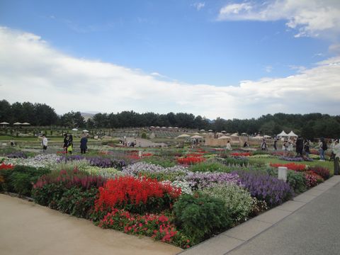 DSC03226