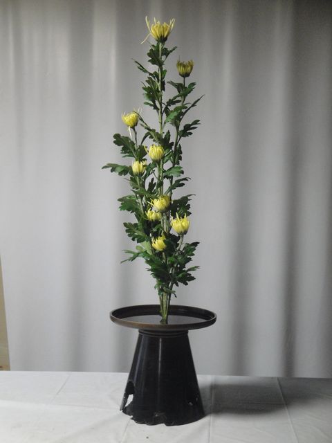 DSC03335