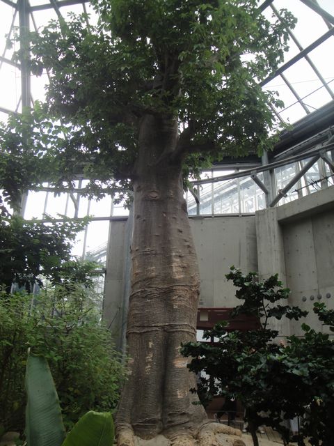 DSC03174