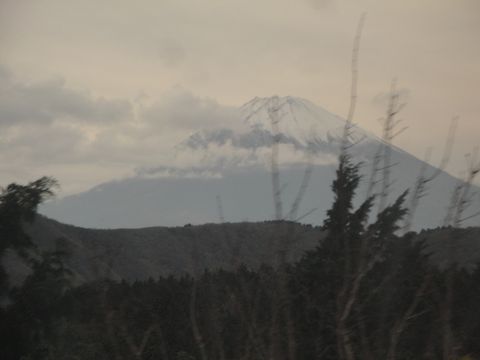 DSC04212