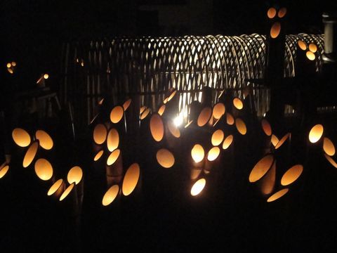 DSC03662