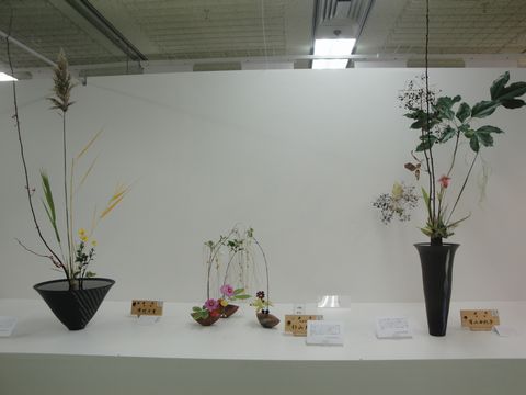 DSC04045