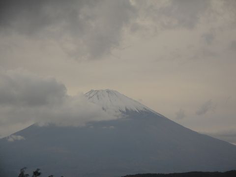 DSC04202