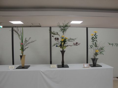 DSC03359