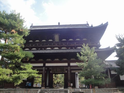 DSC03973