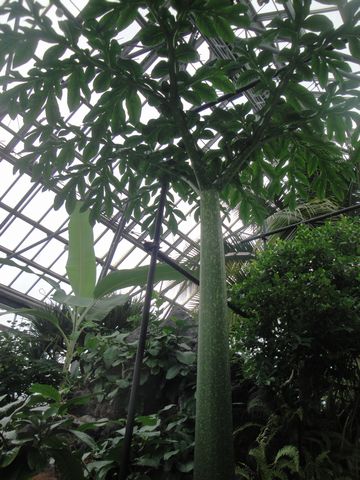 DSC03165