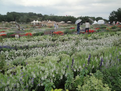 DSC03221