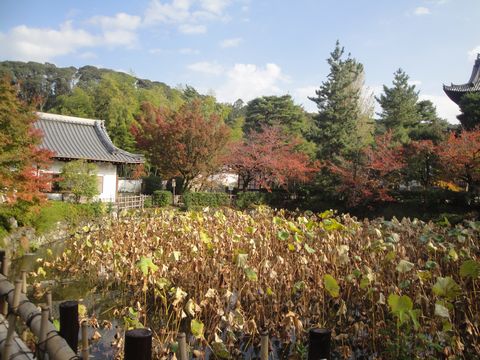DSC03970