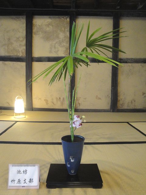 DSC02503