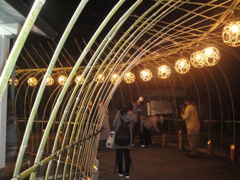 DSC03745
