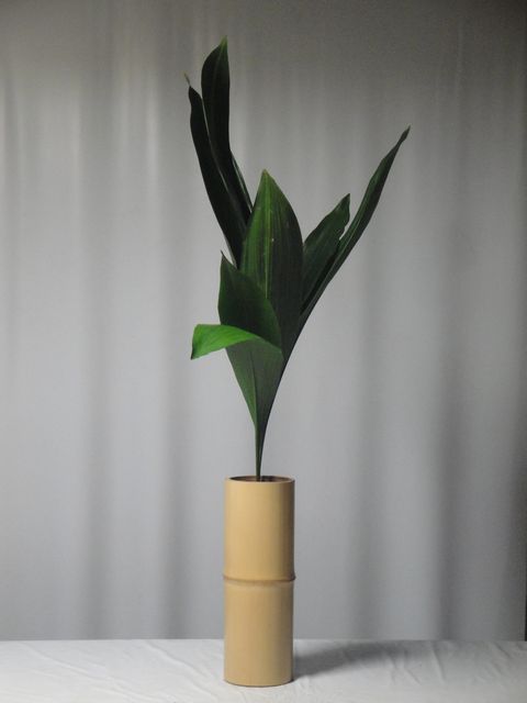 DSC04542
