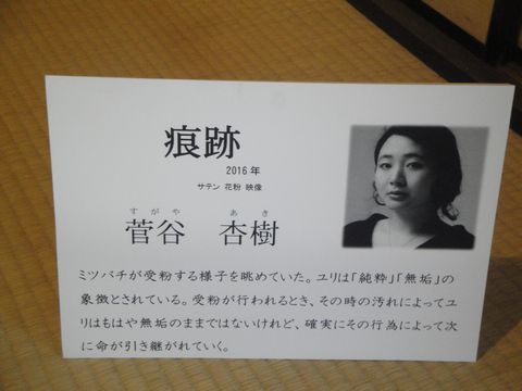 DSC03025