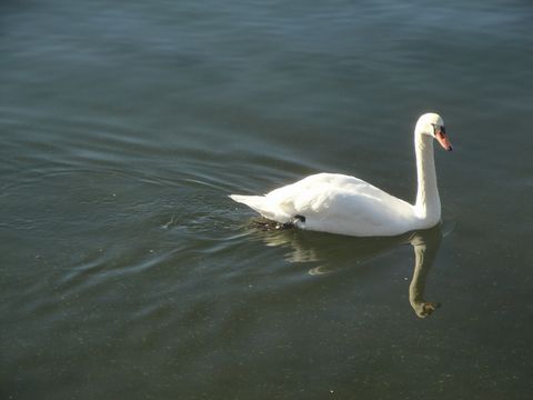DSC04251