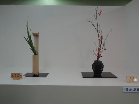 DSC03950