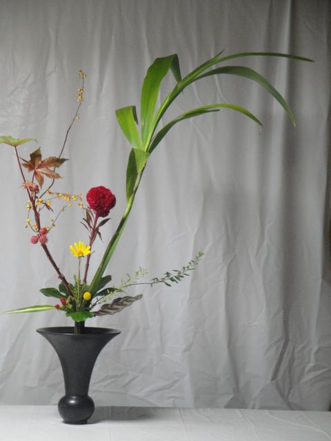 DSC03009