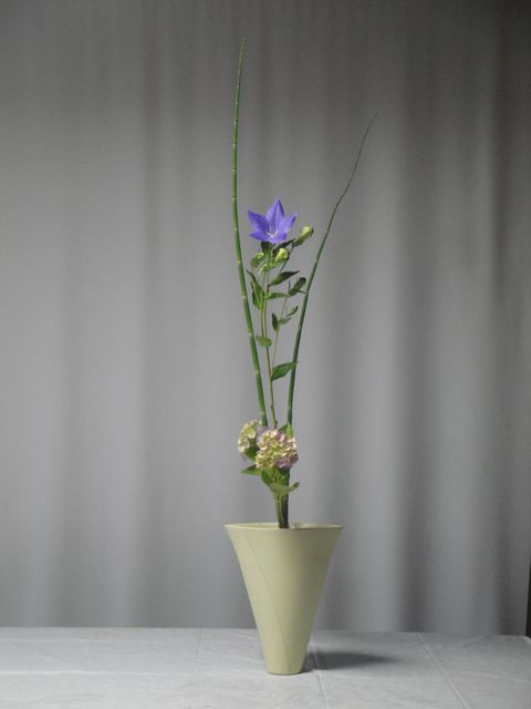 DSC02556