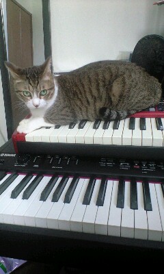 耳がキーン