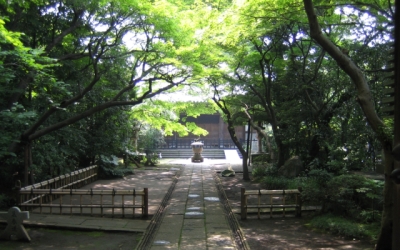 Taishoji-small