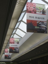 Yokoso Japan! ad