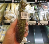 wasabi