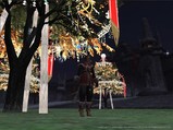 c2111322.jpg