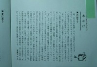 IMG_20171128_123421