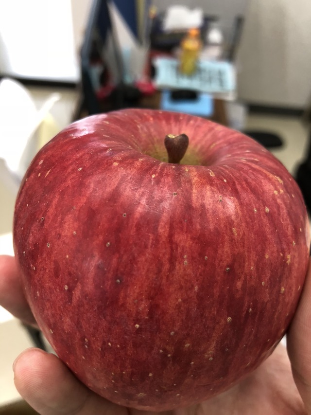 農家さん直送の美味しいリンゴ