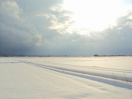 雪景色