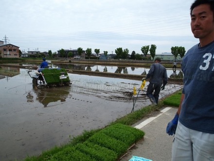 田植え【たけもと農場】