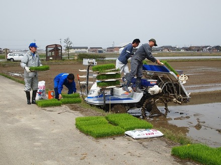 新しい田植え機