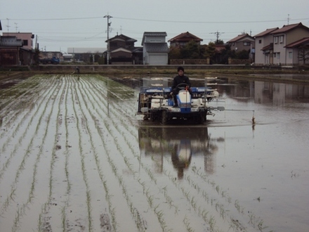 田植えスタート！22年産のお米づくり