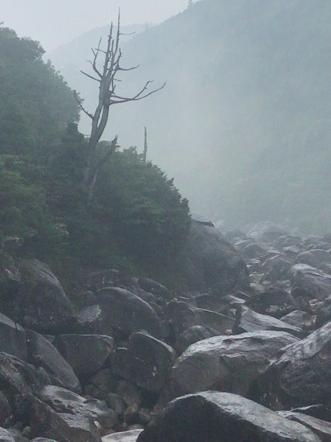 Image_8eb1ea5