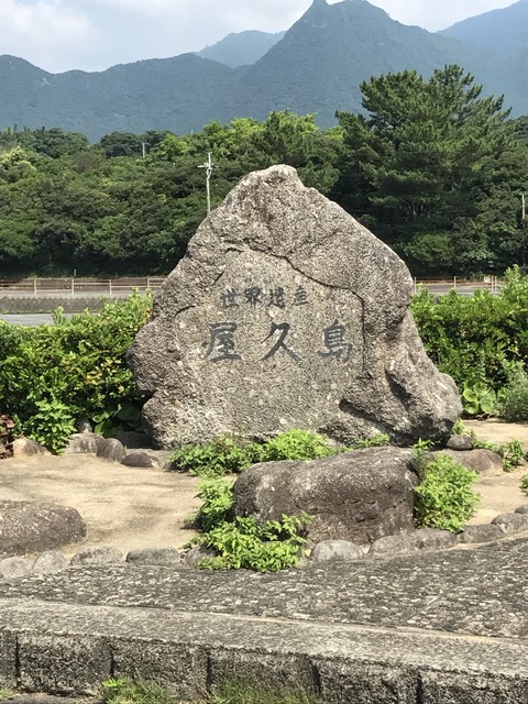Image_77c9a06