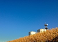 IMG_0135