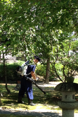 IWAKAN