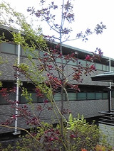 bcced410.jpg