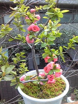 dd03b084.jpg