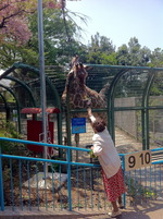 動物5