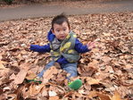 RIMG0133