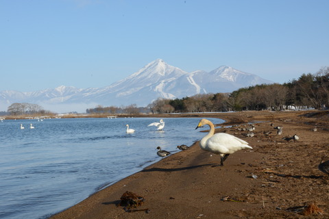 DSC_3041 - コピー